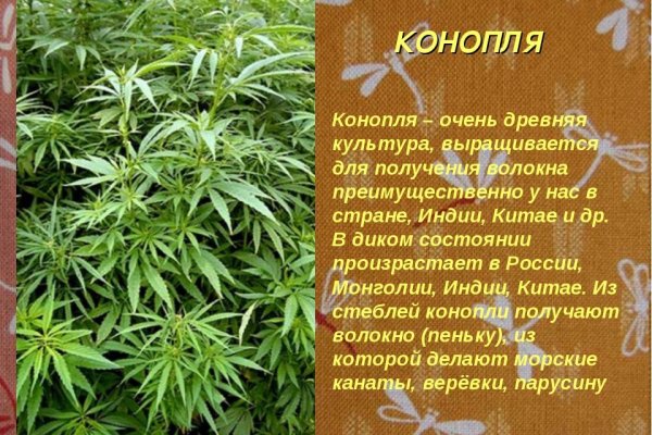 Кракен маркет онион